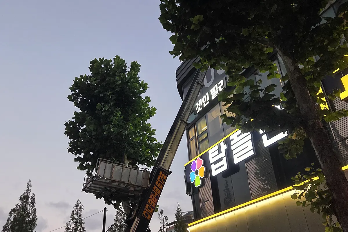 마포구 오피스텔 빈집청소 비용 기준 현장 사진 2