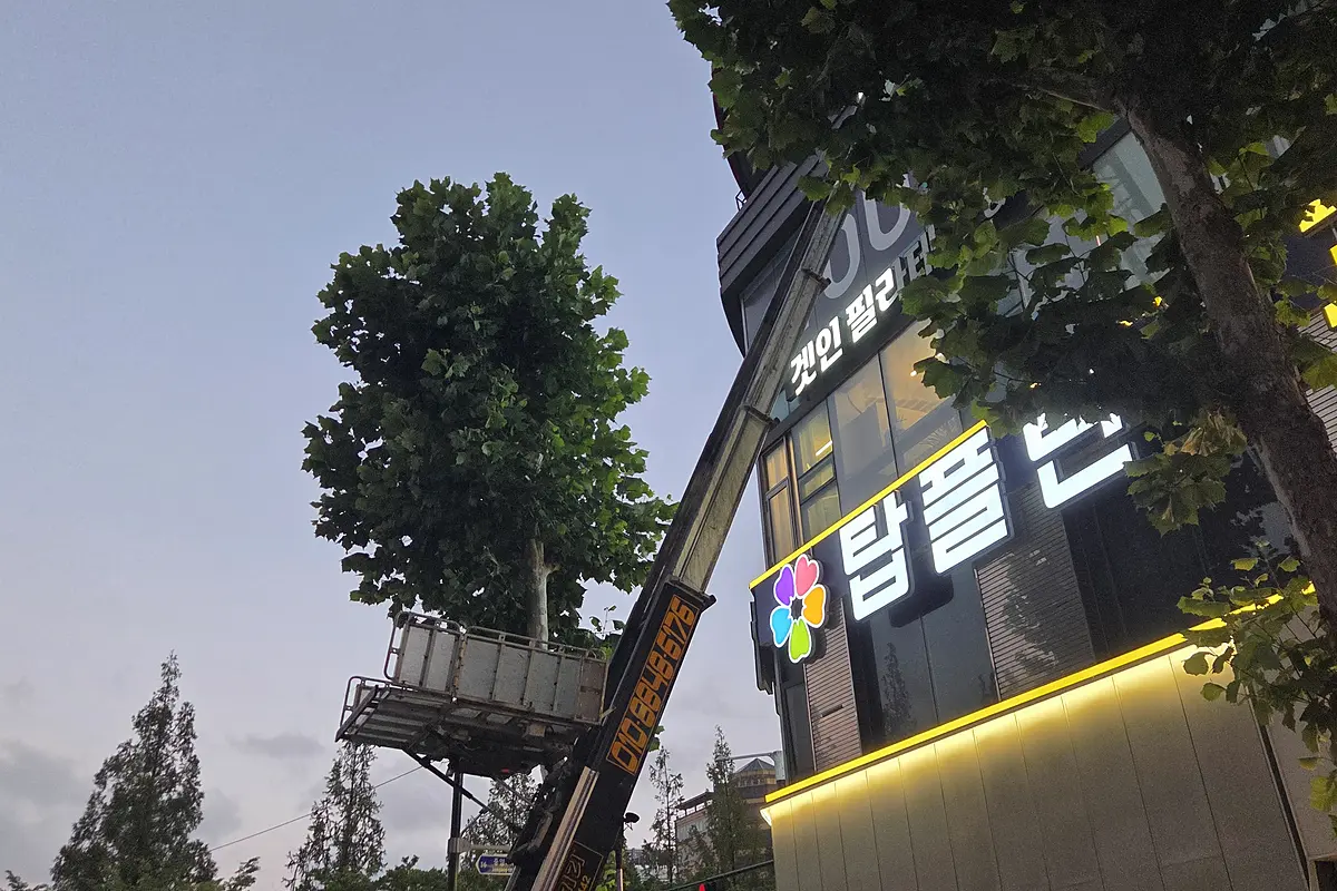 양천구 쓰레기집 청소 가격 현장 사진 2