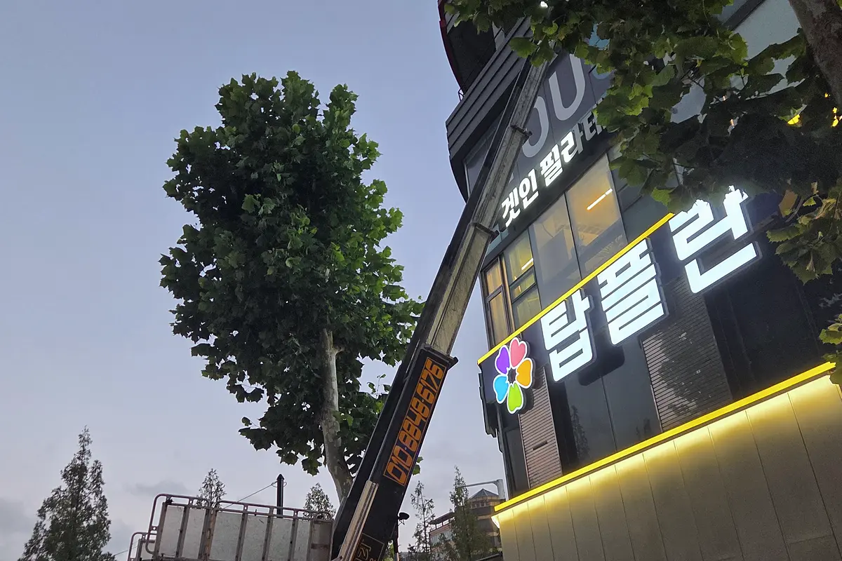 양천구 쓰레기집 청소 가격 현장 사진 4