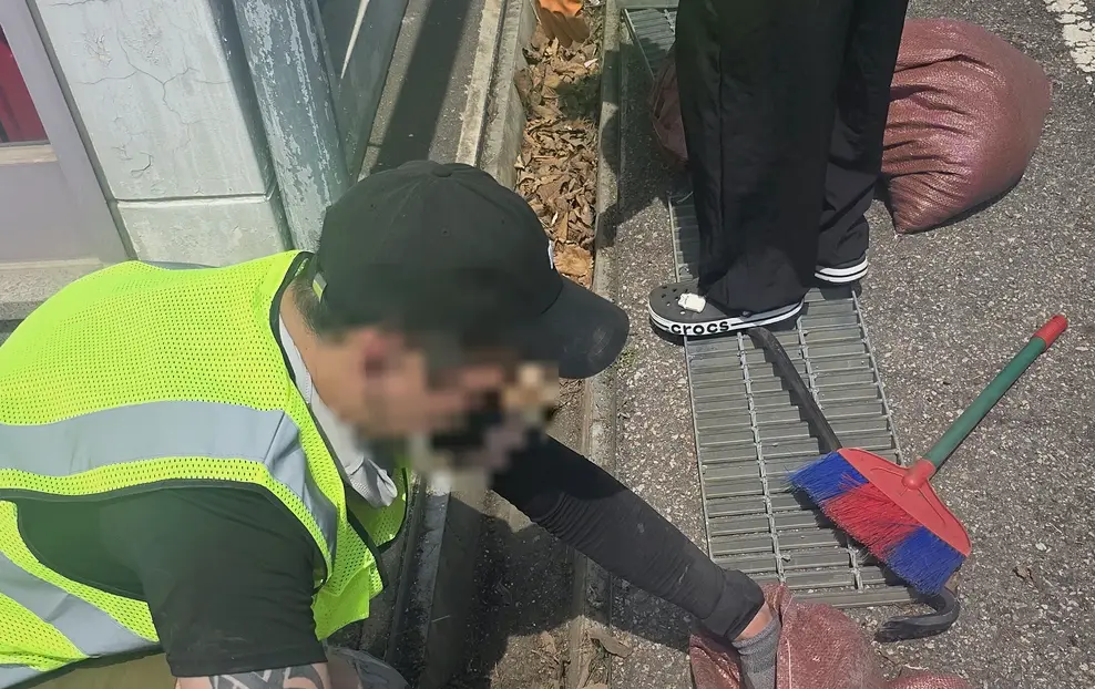 종로구 다세대주택 쓰레기청소 현장 시공 실사