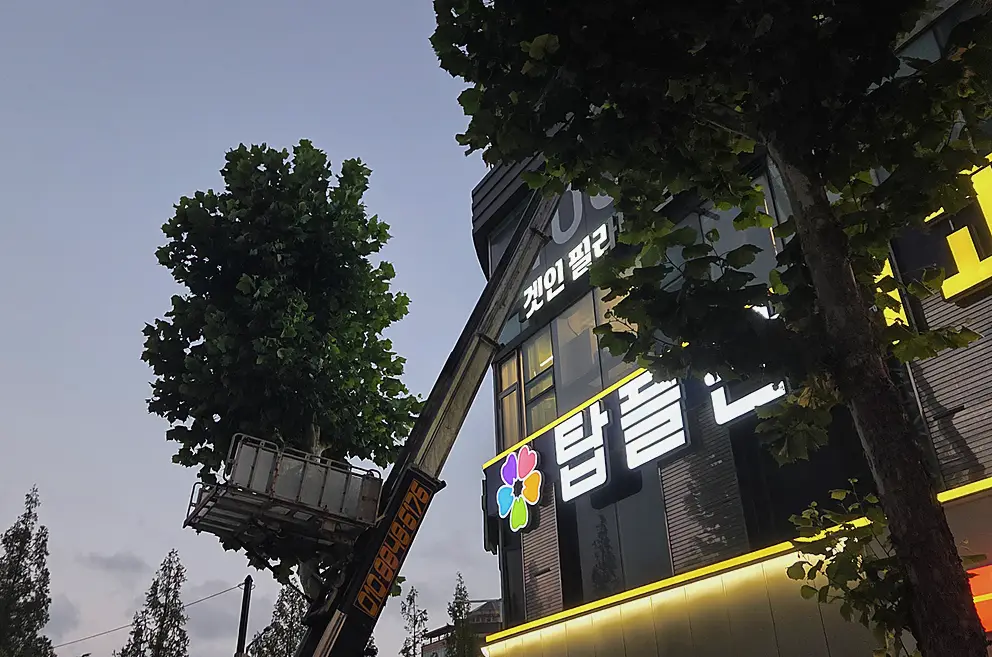 마포구 특수청소 기록 사진 4